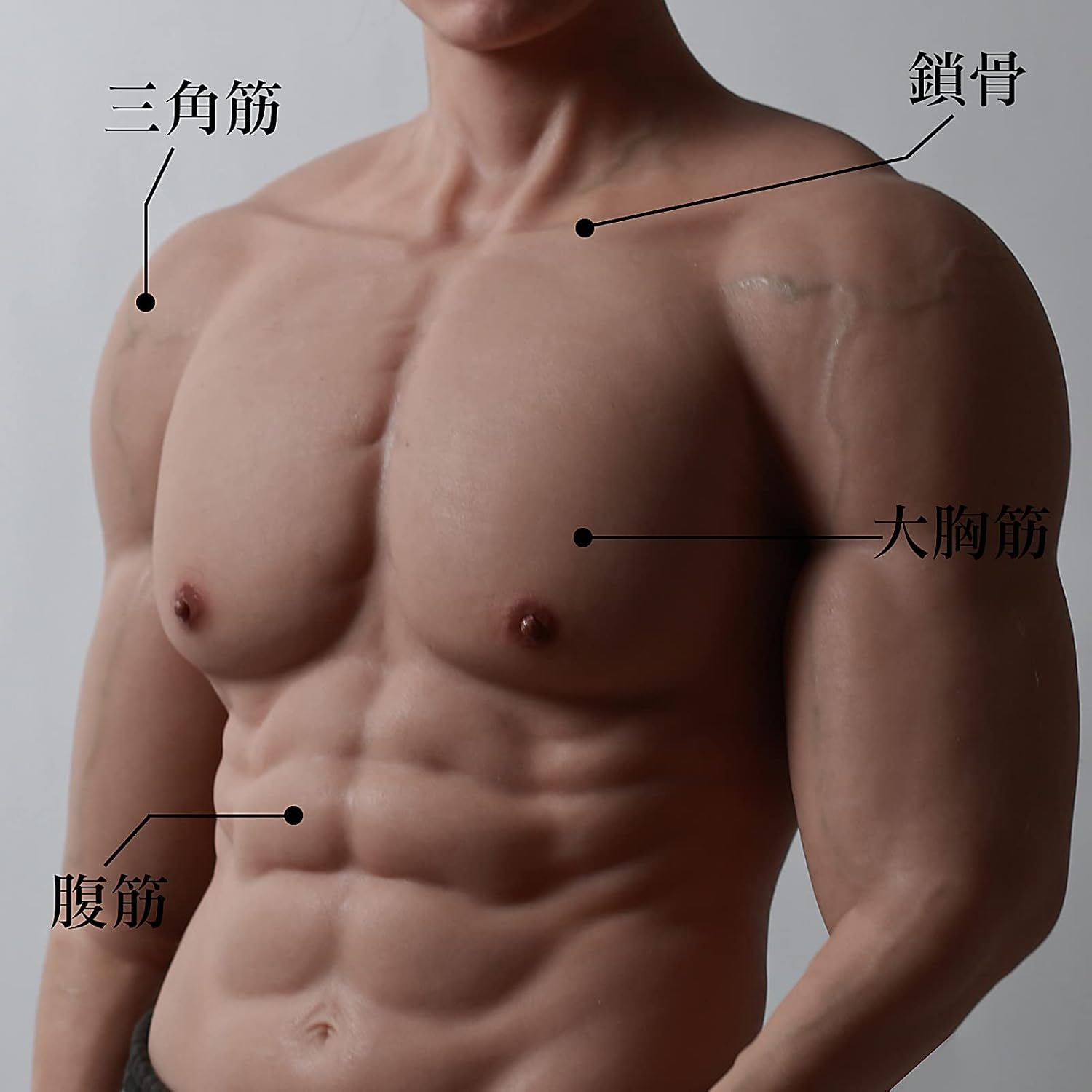 使い勝手の良い】 筋肉スーツ コスプレ Sサイズ ホワイト staronegypt